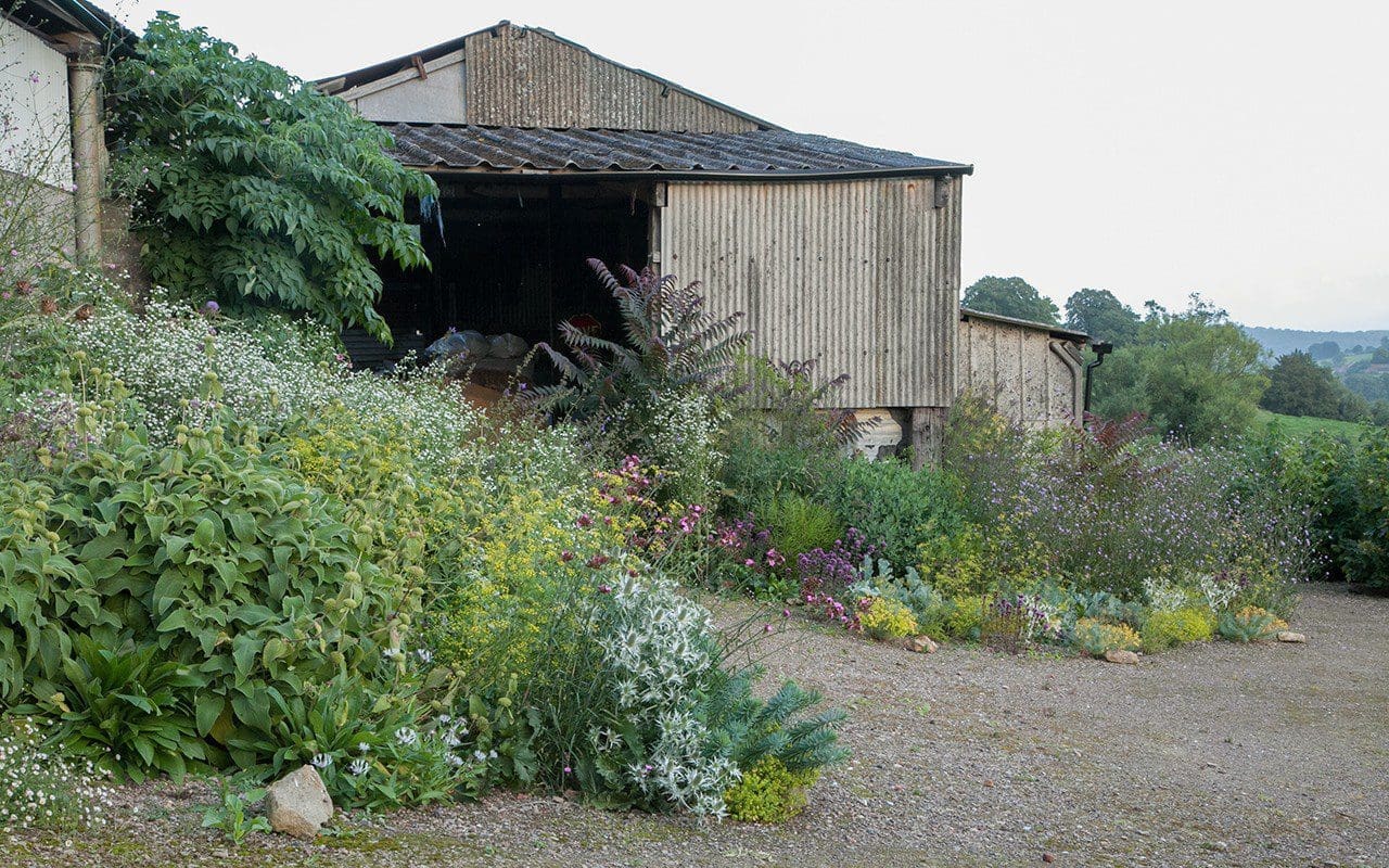 Gravel planting at Hillside - Designer: Dan Pearson