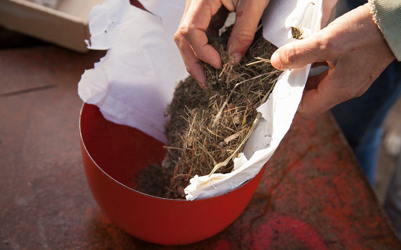 Great Dixter meadow sweepings
