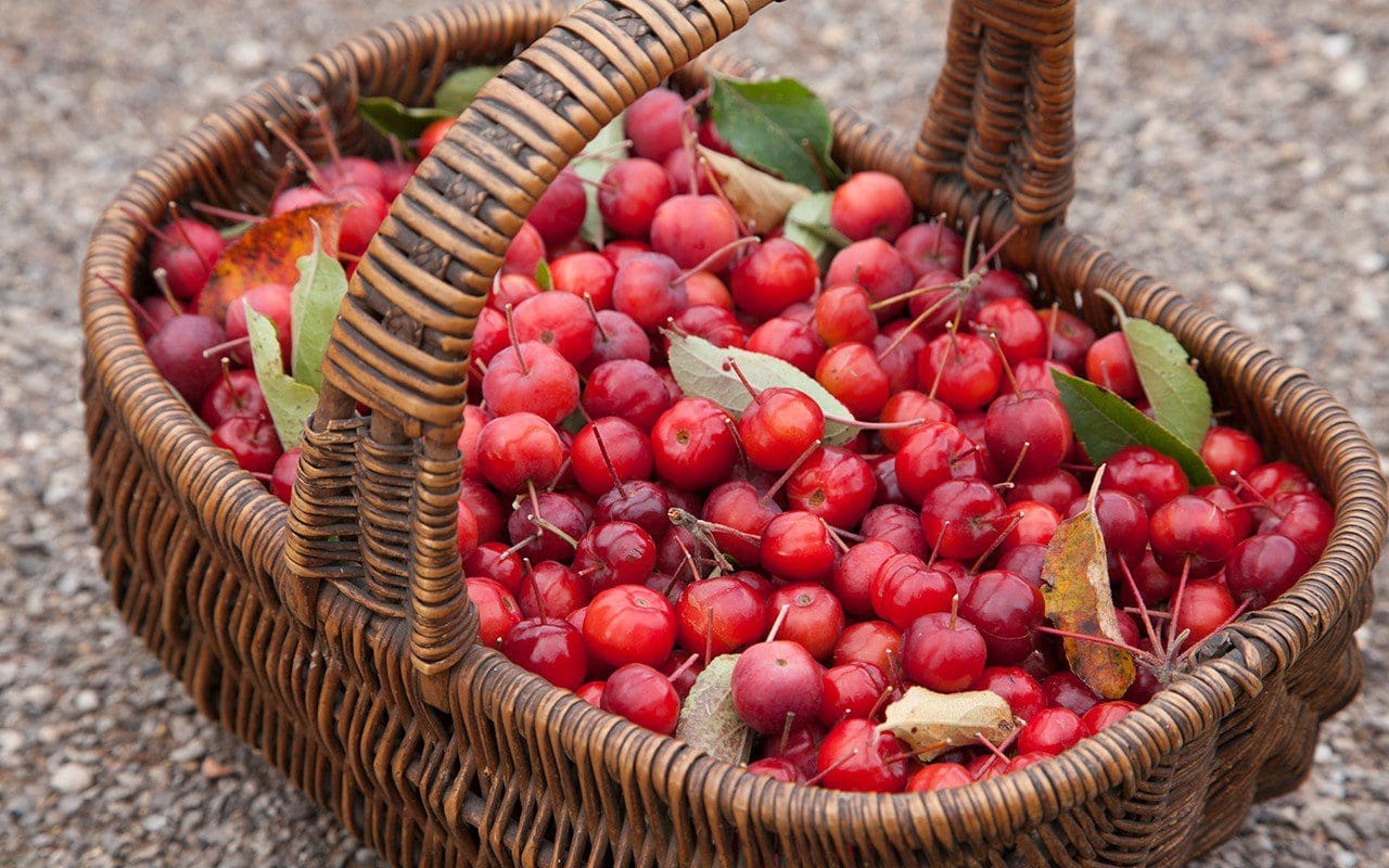 Crabapples