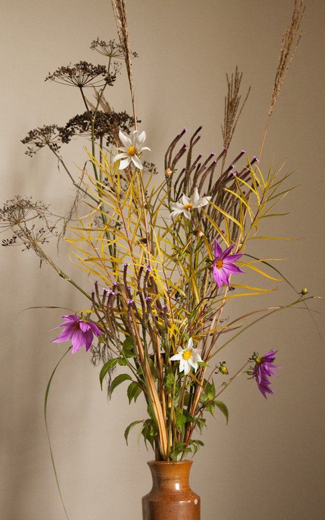 Posy with Dahlia merckii 'Alba', Dahlia australis, Amsonia hubrichtii, Verbena macdougalii ‘Lavender Spires’, Miscanthus 'Dronning Ingrid' & Foeniculum vulgare 'Purpureum'