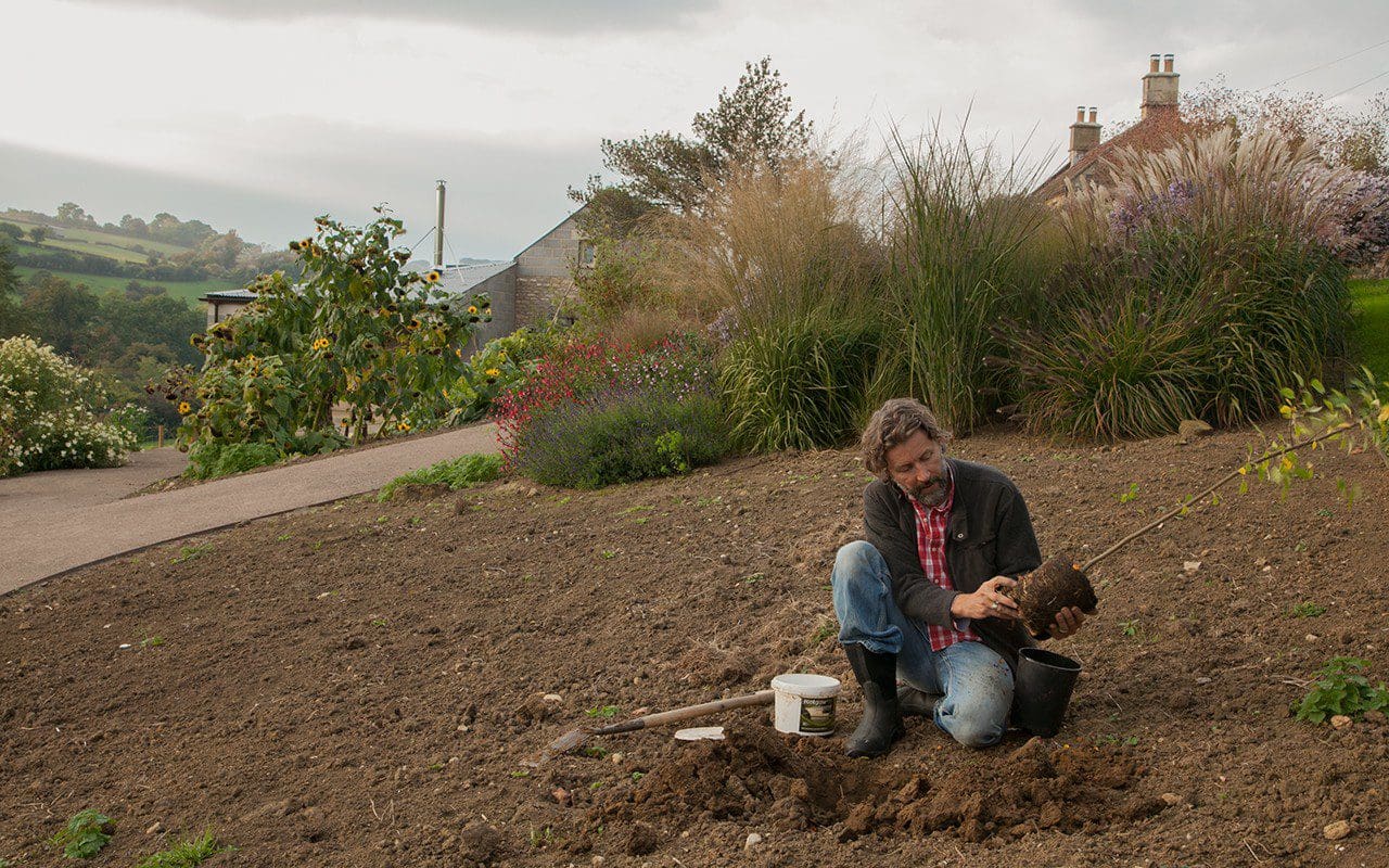 Dan Pearson planting up his new garden in Somerset