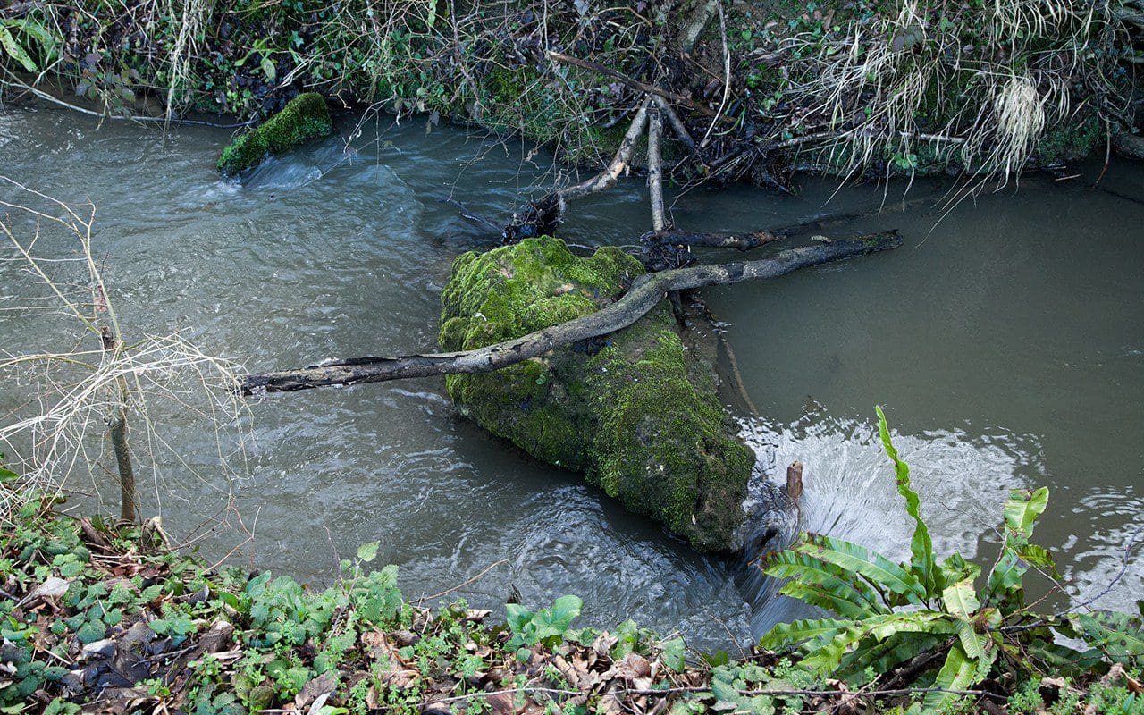 A moss-covered boulder in the Stream at Dan Pearson's Somerset property