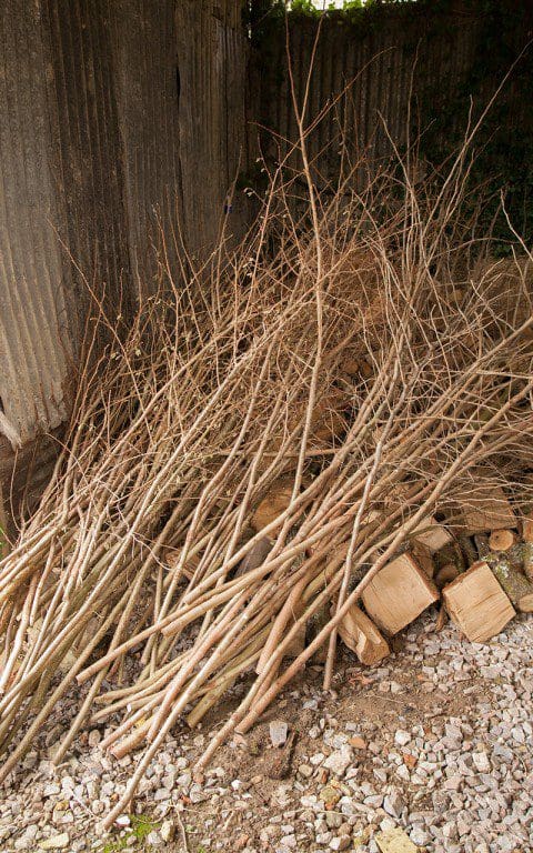 Hazel poles harvested from the hedgerows  at Dan Pearson's Somerset property