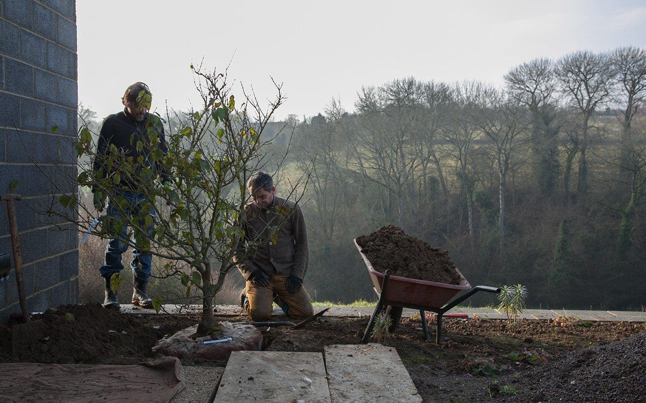 Dan Pearson and Ian Mannall planting Chimonanthus praecox