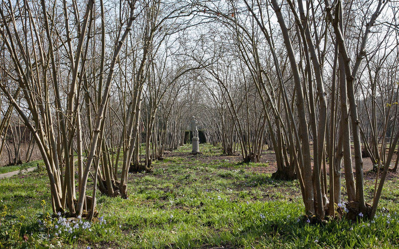 The Nuttery at Sissinghurst Castle by Huw Morgan