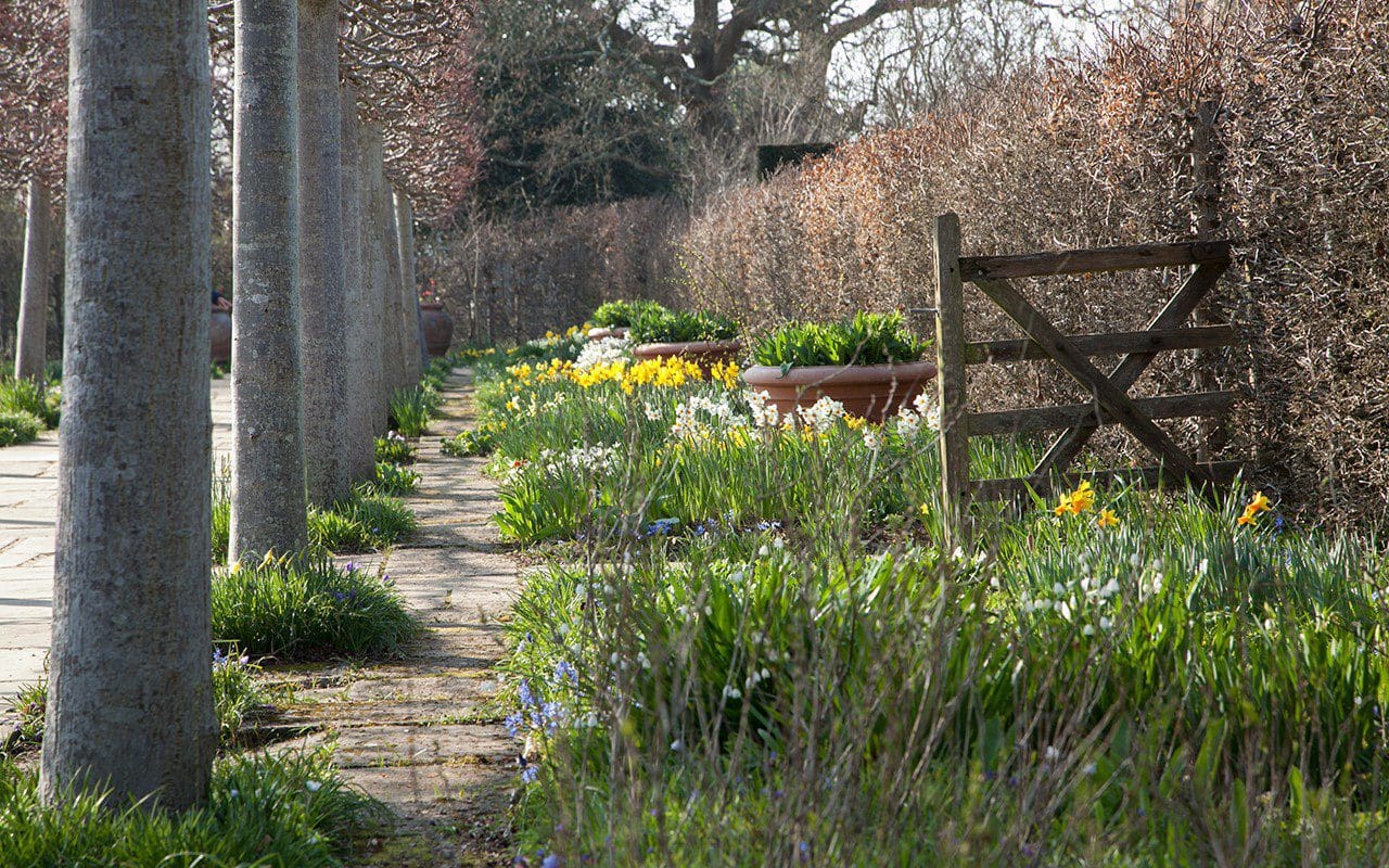 The Lime Walk at Sissinghurst Castle by Huw Morgan
