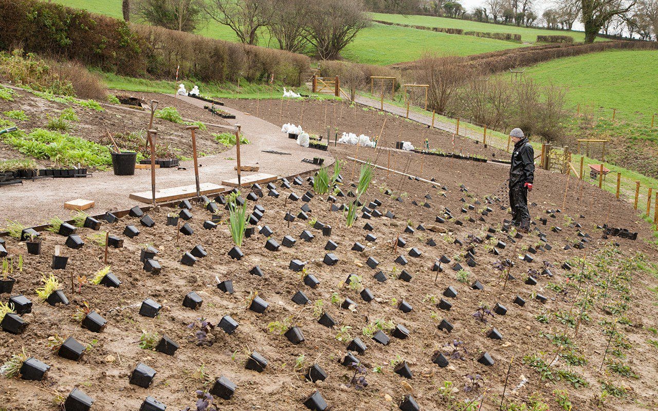 Dan Pearson laying out his new garden in Somerset