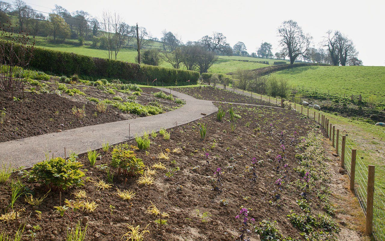 Dan Pearson's new garden in Somerset 2 weeks after planting - April 2017