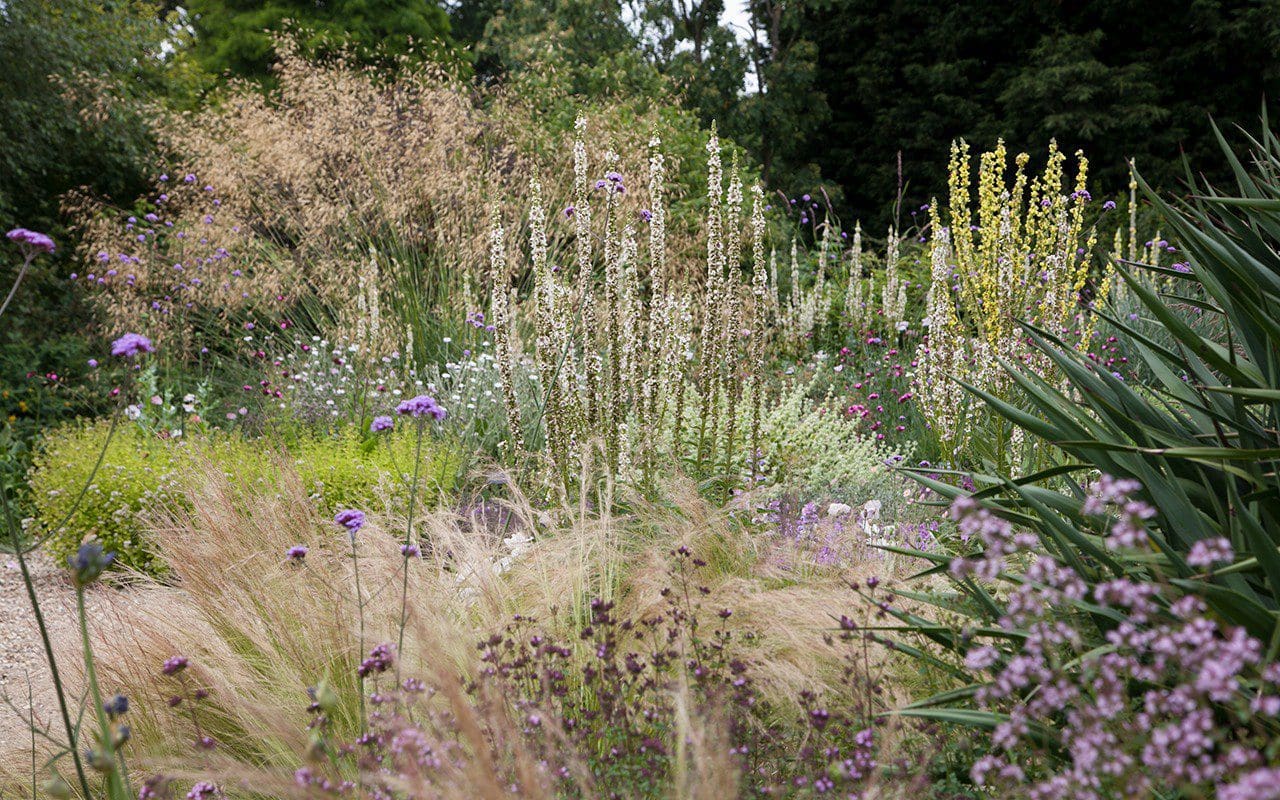 The Gravel Garden at The Beth Chatto Gardens. Image: Huw Morgan