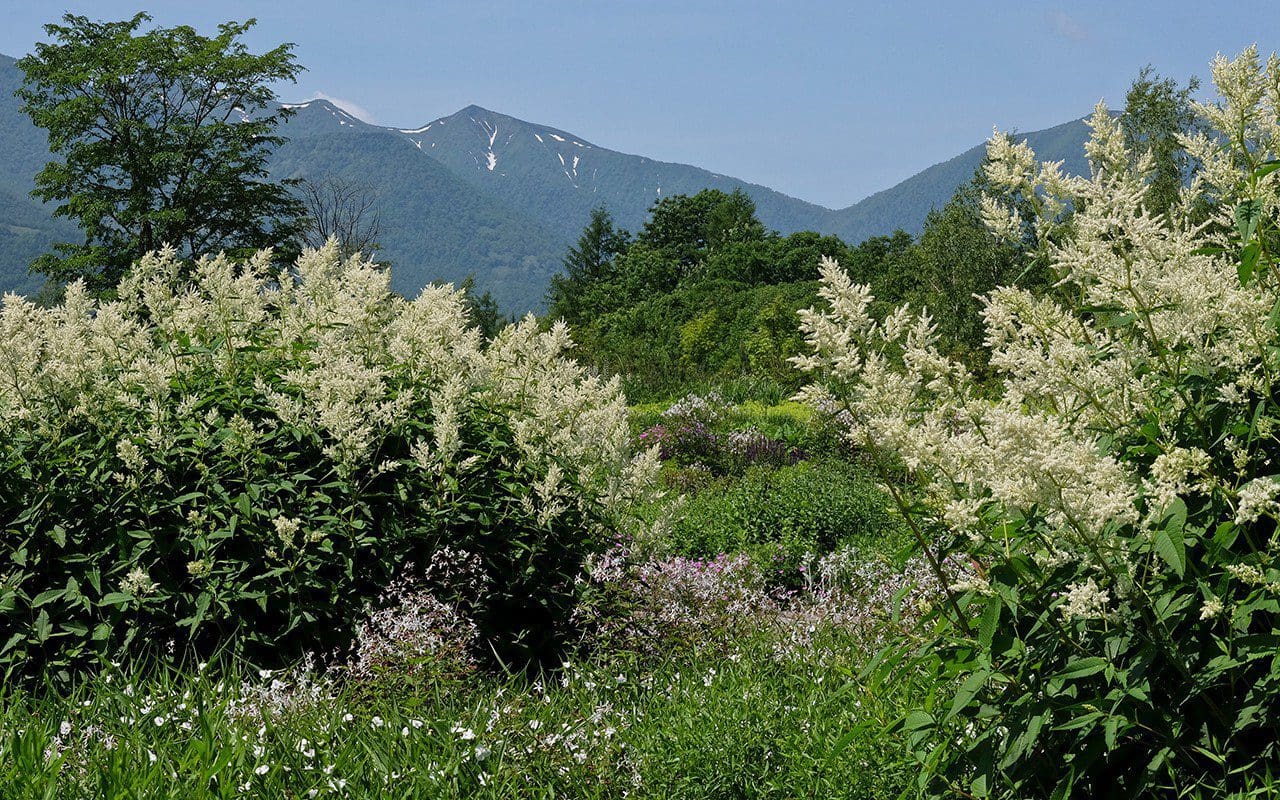 The Meadow Garden at the Tokachi Millennium Forest by Dan Pearson. Photo: Kiichi Noro