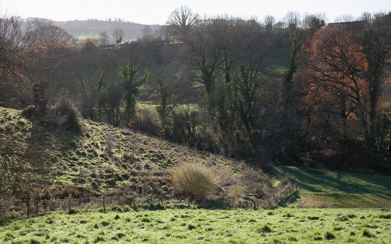 The ditch on Dan Pearson's Somerset property. Photo: Huw Morgan