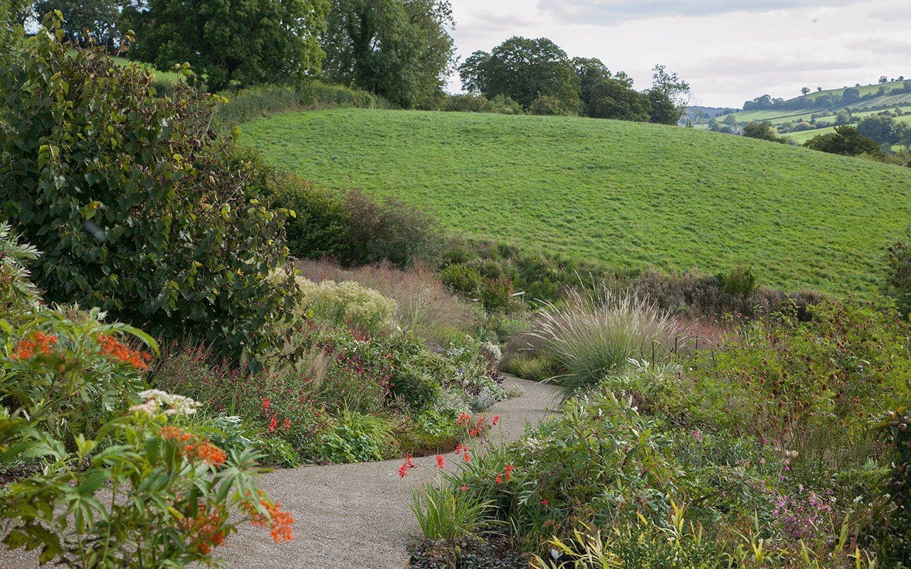 Dan Pearson's Somerset garden. Photo: Huw Morgan