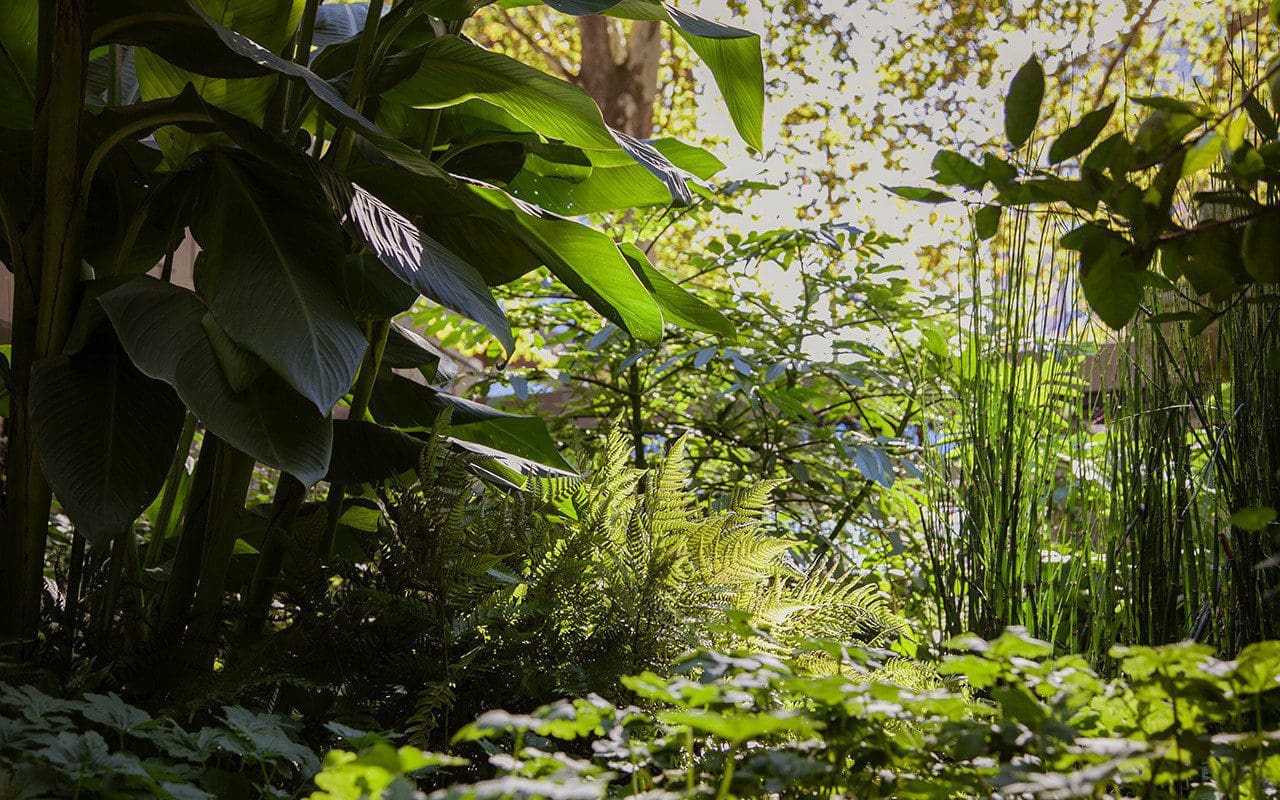Layered planting in the Sackler Garden by Dan Pearson at the Garden Museum. Photo: Huw Morgan